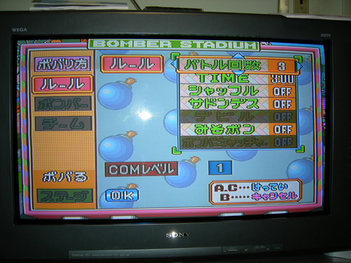 DSCN0810x.jpg