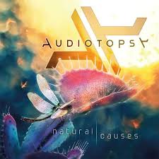 audiotopsy pic.jpg