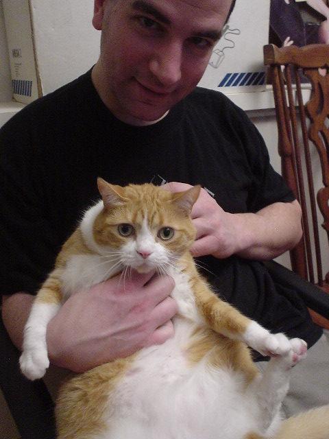 cat.JPG
