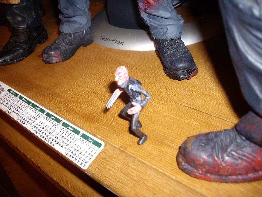 small Freddy.jpg