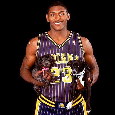 artest.jpg