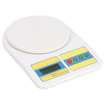 Digital Scale.jpg