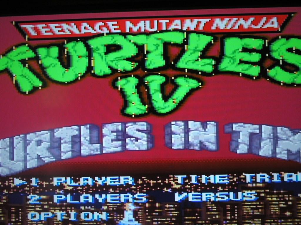 Turtles.JPG