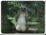 Japan.gif