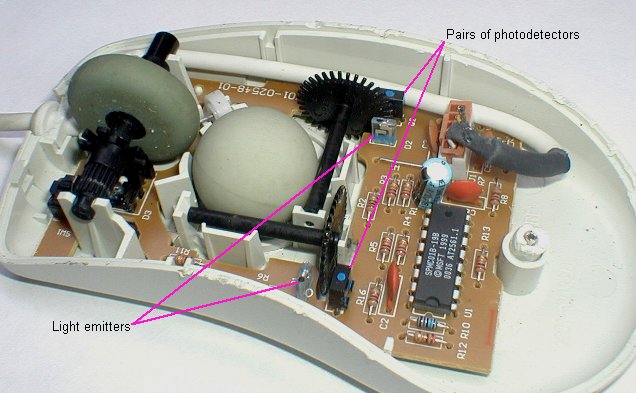 Mouse Internal.jpg