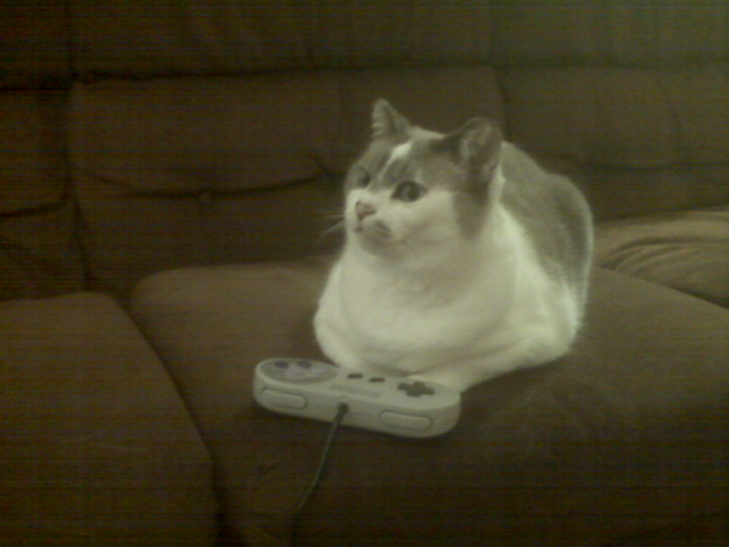 urs_snes1.jpg