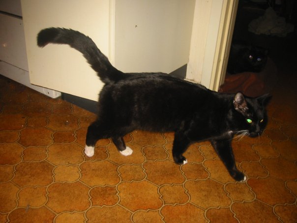 Sötis
