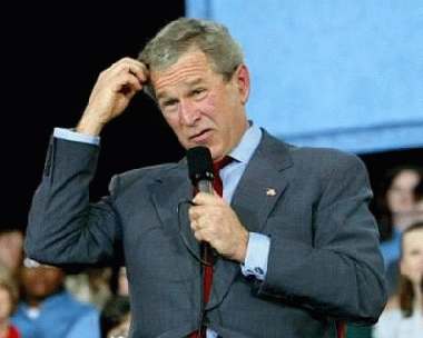 Confused Bush.jpg