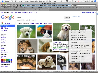 Google Image New Screen Blow Up Pic.JPG