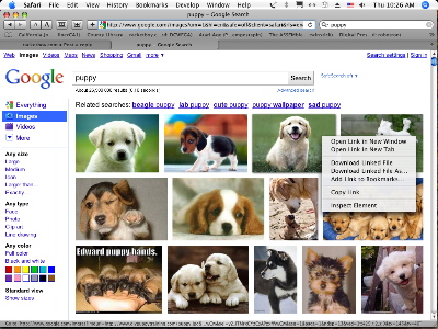 Google Image New Screen No Blow Up Pic.JPG