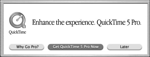 Quicktime Nag Screen.jpg