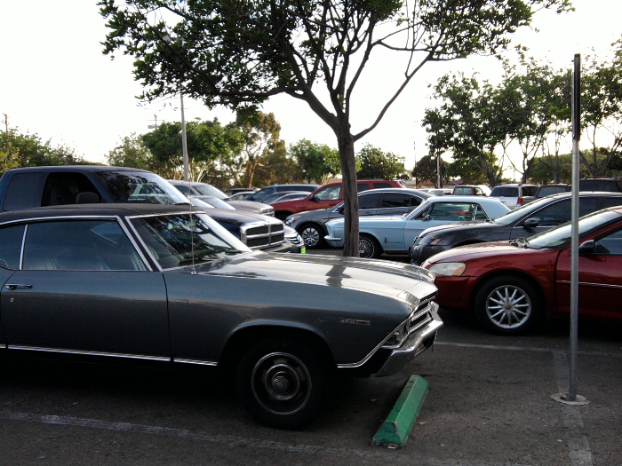 Chevelle and Mustang.jpg