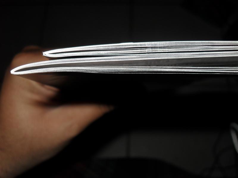 fframe2-book.JPG