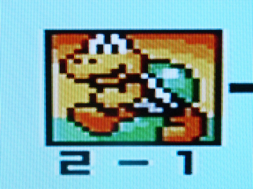 yoshi 003.jpg