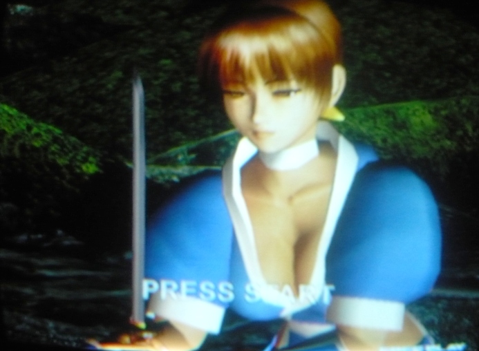 dead or alive 2-2.JPG