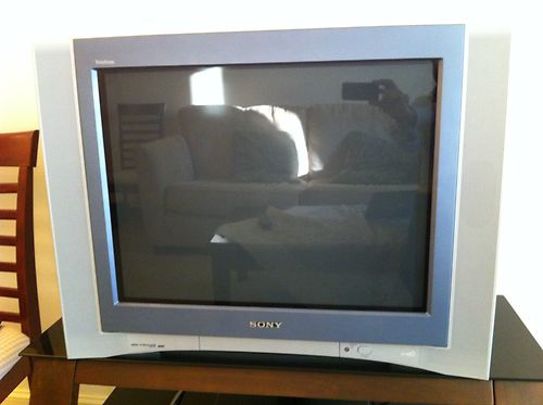 sonywega27.jpg