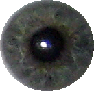 Untitled-1.gif