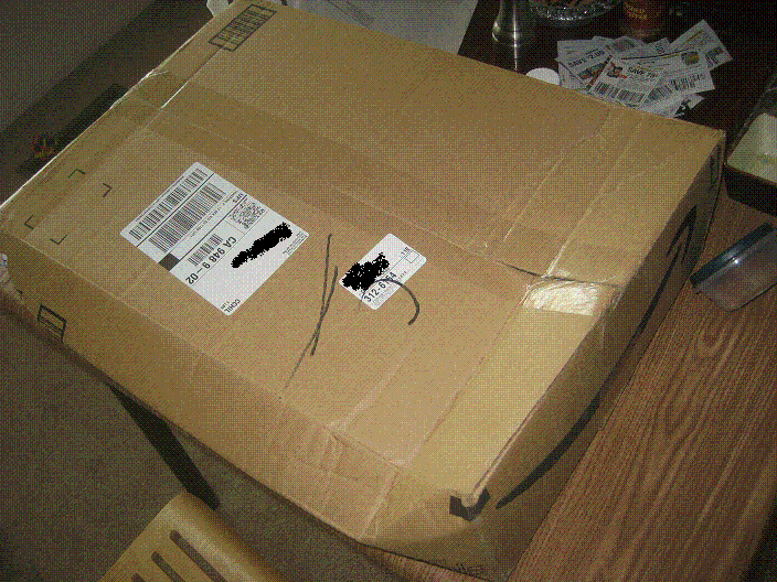 IMG_6816.GIF
