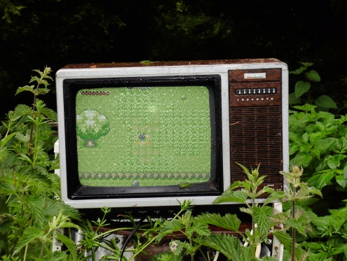 030.jpg