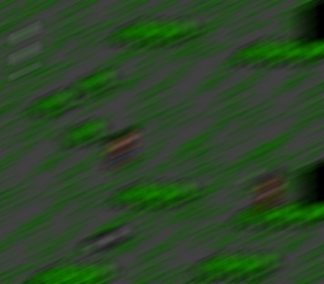 062.jpg