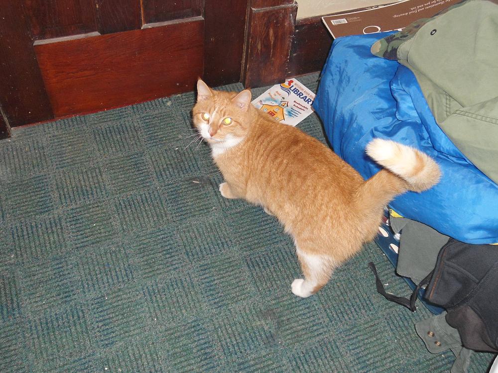 DSC00038.JPG