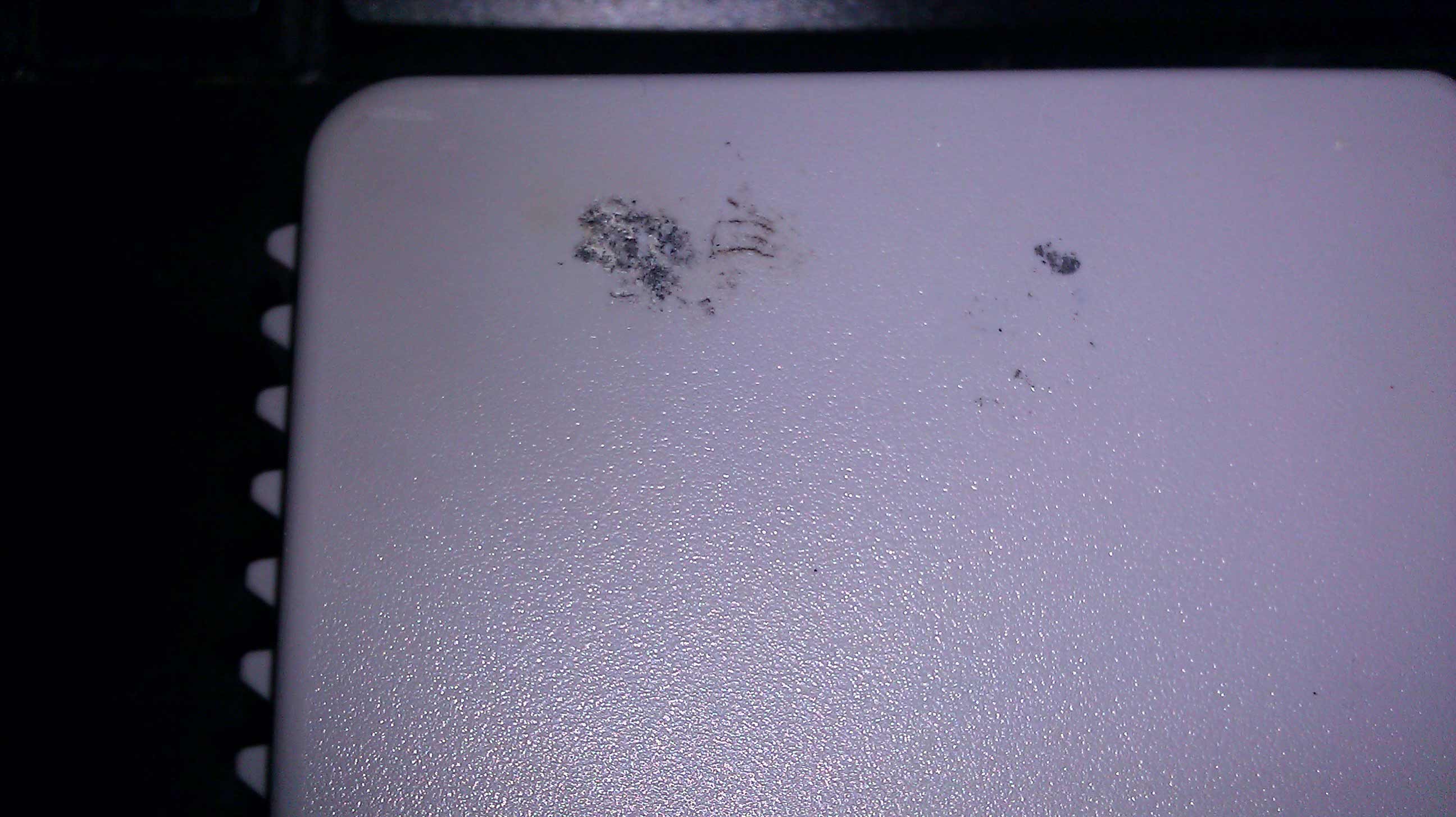 IMAG0463a.jpg