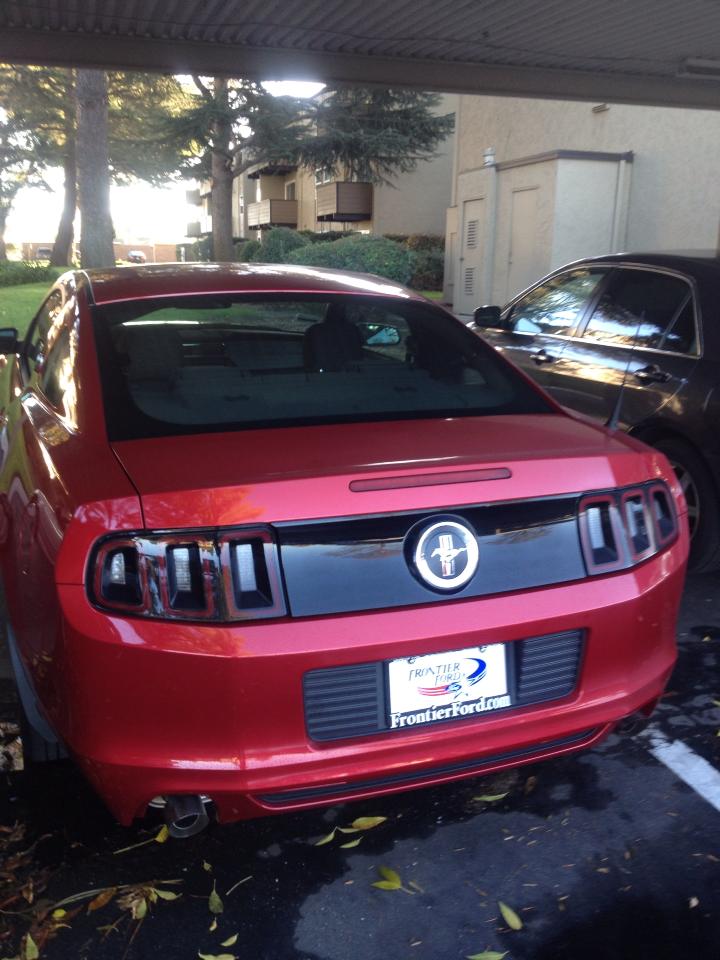 2013 Mustang.jpg