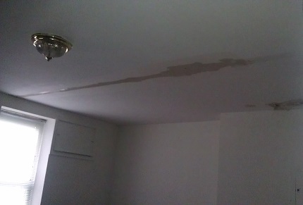 IMAG0982.jpg