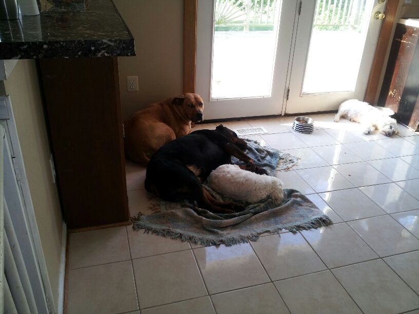 20130625_081305_resized.jpg