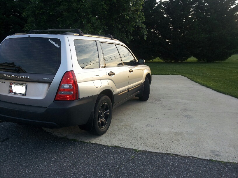 20130620_194555_resized.jpg