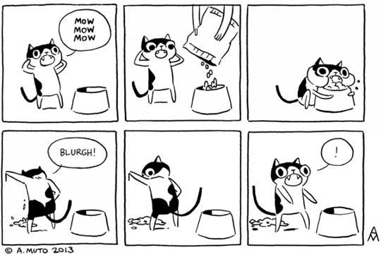 cats.jpg