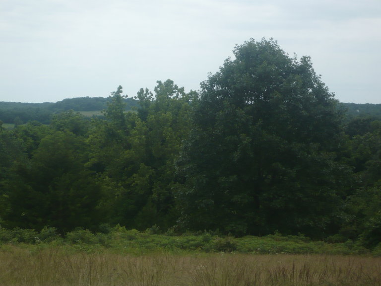 rsz_p1050993.jpg