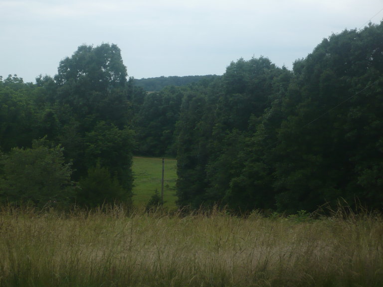 rsz_p1050994.jpg