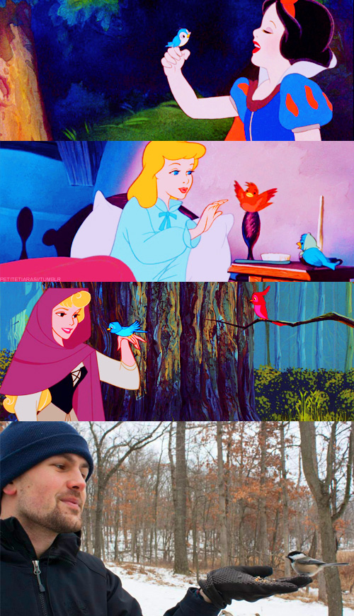 disney_princesses_and_their_birds.jpg