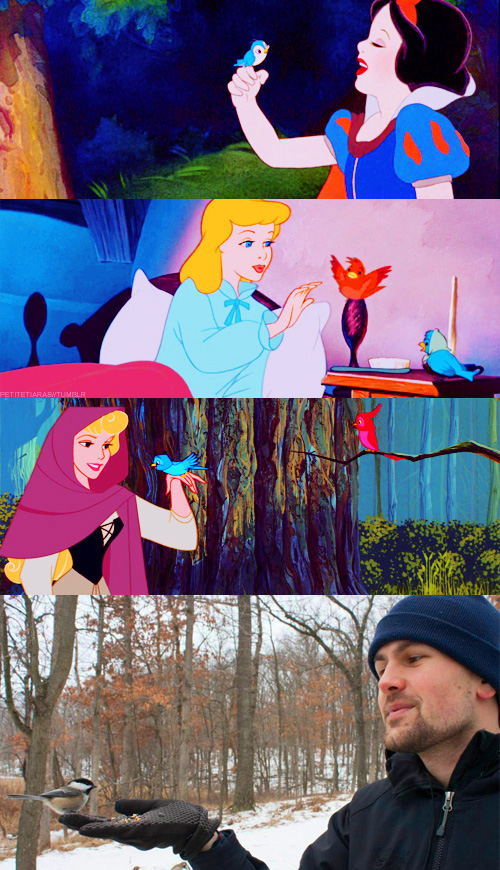 disney_princesses_and_their_birds.jpg