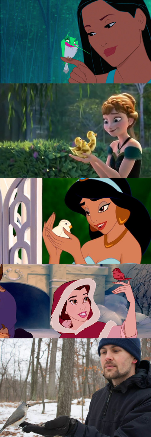 disney_princesses_and_their_birds2.jpg